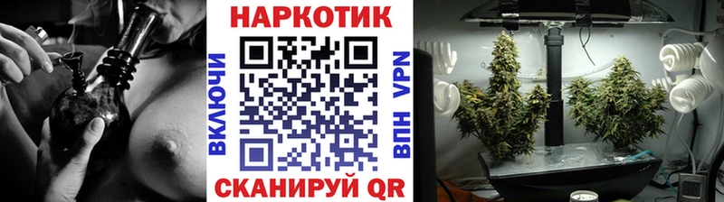  COCAIN Новочебоксарск