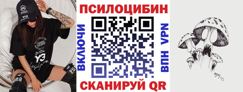 darknet формула  Новочебоксарск  Псилоцибиновые грибы мицелий 