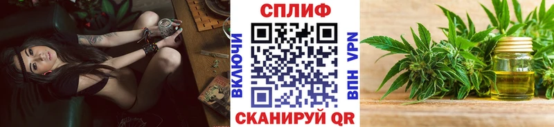 где можно купить наркотик  Новочебоксарск  Канабис гибрид 